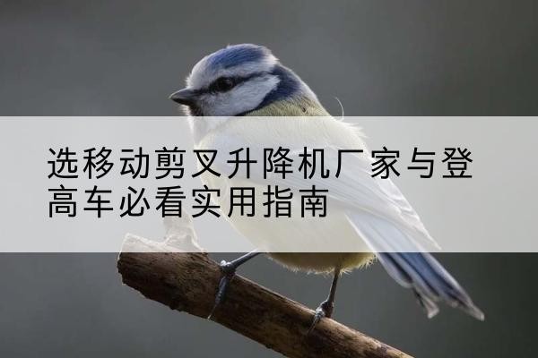烈山电动升降机厂家-选移动剪叉升降机厂家与登高车必看实用指南