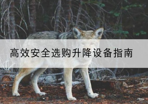 烈山升降货梯厂家推荐-*安全选购升降设备指南