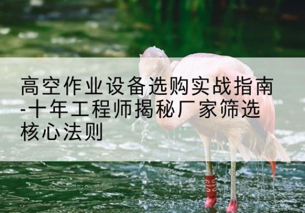 烈山剪叉式升降机厂家-高空作业设备选购实战指南-十年工程师揭秘厂家筛选核心法则